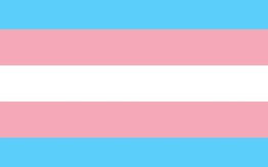 Poverty and bias are widespread in the transgender community, according to new data. (TransAmerica/Wikimedia Commons)