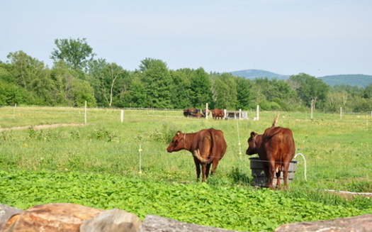 Consumers are making it clear they want more organic food on the shelves. (Maine Organic Farming)