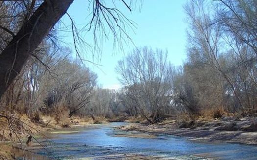 Conservation advocates say the San Pedro River may be endangered by a water bill passed this year, part of the reason most of the legislators received an F on the annual Sierra Club Environmental Report Card.(Wikimedia Commons)