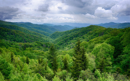 Great Smoky Mountains National Park is the most visited in the nation, by more people than the Grand Canyon and Yellowstone combined. (Steve Harwood/Flickr)