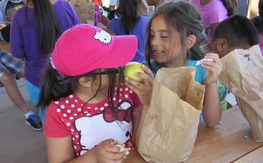 The federal Summer Food Service program provides funding for children's meals while school is out. (School's Out Washington)