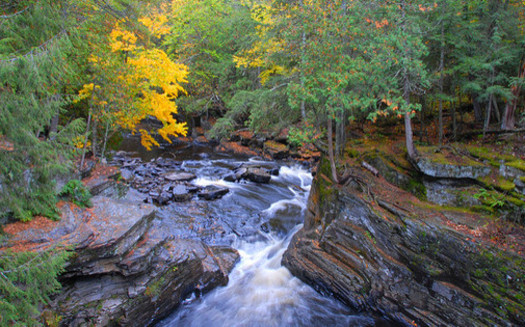 Protections for 60 percent of U.S. streams are at risk. (Jim Sorbe/Flirckr)