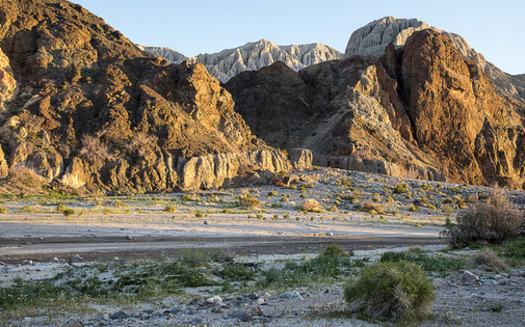 A bill in the California Legislature would provide more oversight for a potential water pumping project in the Mojave Desert. (Bob Wick/Bureau of Land Management)