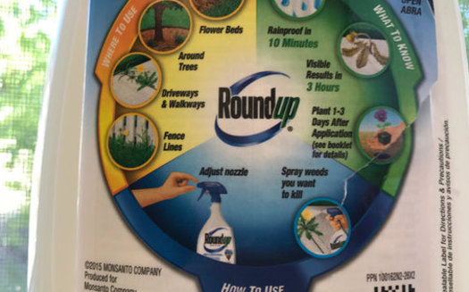 Monsanto, the maker of Roundup, has undergone some long and expensive legal battles to challenge those who say its weed killer is dangerous to human health. (Chris Thomas)