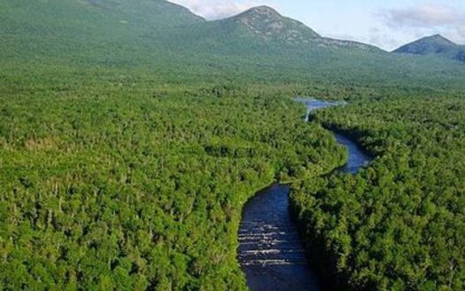 An early review of thousands of comments shows Maine residents overwhelmingly support maintaining the status of the Katahdin Woods and Waters National Monument. (TR Kelley/Wikimedia Commons)