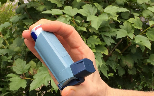 Granite Staters living with asthma are among those likely to have a tough time on hot summer days according to a new report. (NIAID)