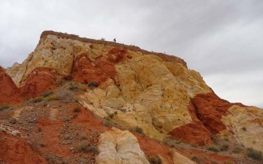 Protections for Gold Butte and Basin and Range National Monuments could be at risk. (Friends of Gold Butte)