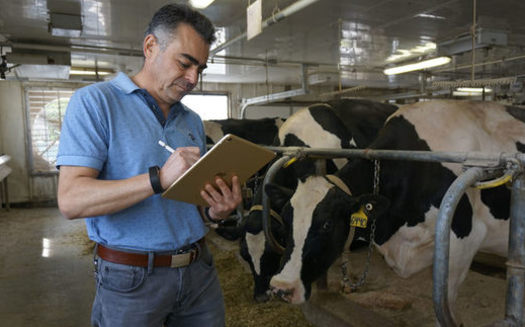 Victor Cabrera is leading a team of scientists at the University of Wisconsin trying to help dairy farmers manage the huge amounts of data they deal with. (William Graf/University of Wisconsin)