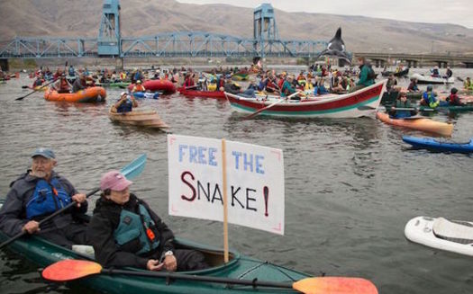 About 350 people came out last year for the Free the Snake Flotilla to oppose four dams on the river. (Free the Snake Flotilla)