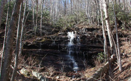 The Southern Appalachian Highlands Conservancy maintains Laurel Ridge Preserve, which adjoins Asheville Watershed land. (SAHC)