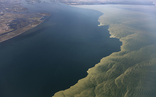Algal blooms in Lake Erie threaten drinking water, lake health and local economies. (Aerial Associates Photography, Inc. by Zachary Haslick/NOAA/Flickr)