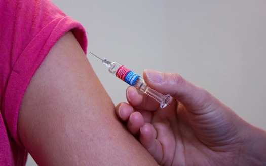 Funding in the budget makes every 11- and 12-year-old eligible for the HPV vaccine. (dfuhlert/Pixabay)