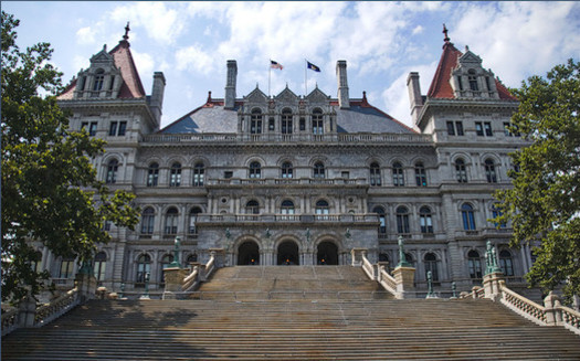 Every 20 years, New Yorkers can vote for or against holding a state constitutional convention. (Ron Cogswell/Flickr)