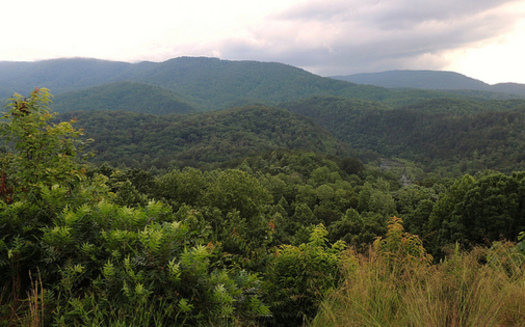 The Tennessee Wilderness Act is now part of the Federal Land Mangement Act of 2017 and would protect almost 20,000 acres in the Cherokee National Forest. (John Iwanski/Flickr)