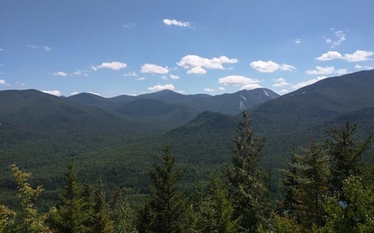 2.5 million acres of the Adirondacks and 300,000 acres of the Catskills are 