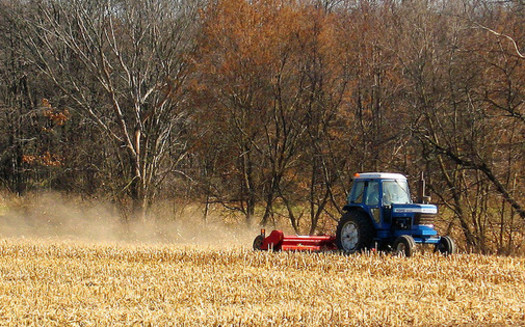 Since 2008, grasslands, pasture and forest in Wisconsin have been cleared for corn and other feedstock production related to the ethanol mandate. (Michael Mooney/Flickr)