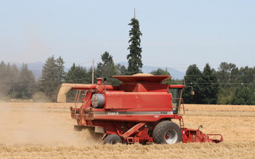 A new report finds cropland is expanding in Oregon at nearly 230 square kilometers a year. (born1945/Flickr)
