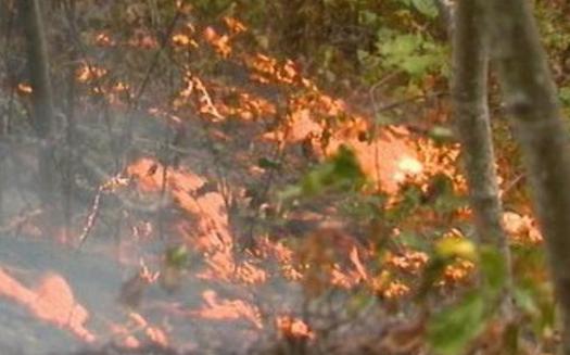 Wildfires and the cost of fighting them often are considered a western problem, but 14 people died in a 2016 fire in the Great Smoky Mountains. (National Park Service)