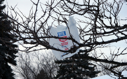 Fewer than 5 percent of single-use plastic bags are recycled. (Kate Ter Haar/Flickr)