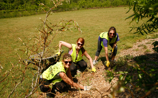 Employees from North Carolina businesses participate in projects for nonprofits on Earth Day with the coordination of Earthshare NC. (Earthshare NC)