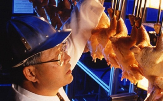 The poultry industry is proposing to speed up the production lines at chicken processing plants in Arkansas and other states. (USDA)