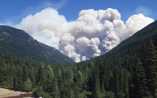 Wildfires raged across Washington state this year and scientists point to climate change as the reason for their intensity. (USFS/Flickr)
