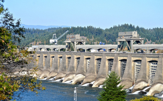 Bonneville Dam is one of many in the Columbia River basin. (Colleen Benelli/Flickr)