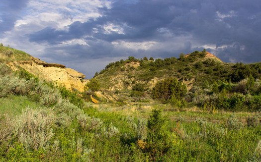 A proposed oil refinery would be located within three miles of Theodore Roosevelt National Park. (Matt Zimmerman/Flickr)