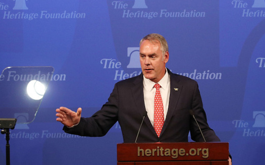 National Park Service Advisory Board members are concerned Secretary Ryan Zinke's Interior Department is not focused on the protection of national parks. (Mark Wilson/Getty Images)