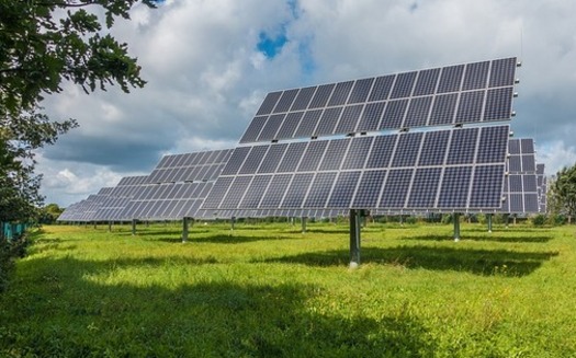 Clean energy advocates say the solar market is resilient and growth will survive despite the impact of new tariffs. (Pixabay)