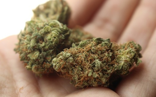 Nine states and Washington D.C. have legalized recreational marijuana. (StayRegular/Pixabay)