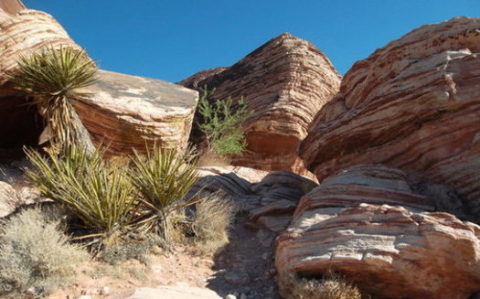 The fund that helped expand Red Rock National Conservation Area would be emptied as part of President Donald Trump's new budget proposal. (kconnors/morguefile)
