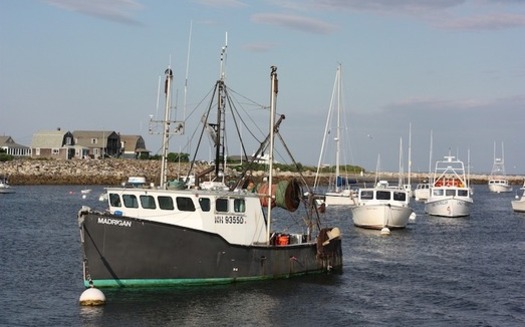 From fishing to recreation, New Hampshire's coastal waters play a major role in the state's economy.  (ckaras/Pixabay)