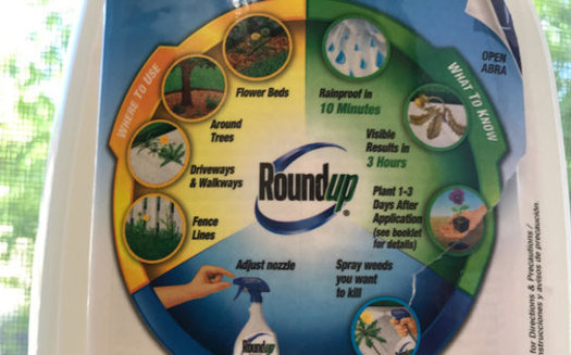 Roundup is the most common pesticide in the world. Some studies have linked it to cancer, while many others have declared it safe. (Chris Thomas)