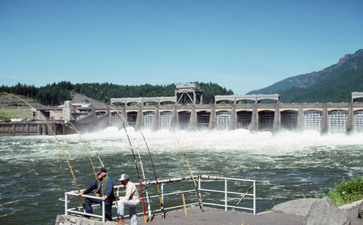 A federal court has mandated that dams in the Columbia River Basin increase spill for salmon four times since 2005. (U.S. Forest Service/Flickr)
