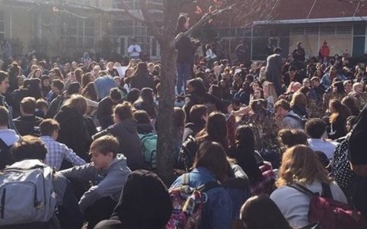 Students walked out of Millbook High School on March 14, but several teens at the school have decided action can't end with their walkout. (Riley Yates)