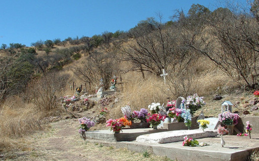 The Harshaw cemetery in southern Arizona is one of just three places where Patagonia eyed silkmoths are found. (Dedhed1950/Flickr) 