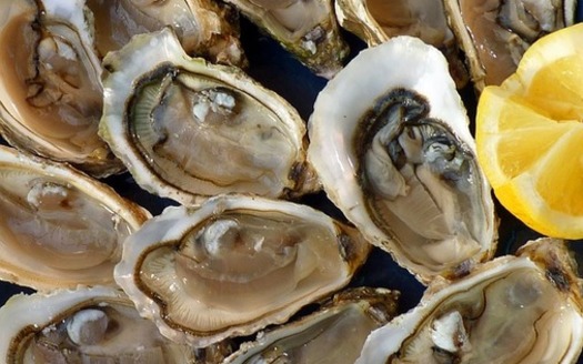 Due to potential microbiological pollution hazards, shellfish taken from areas affected by an emergency harvest closure along the Back River are unacceptable for consumption. (Pixabay) 