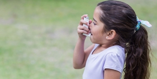More than one in 11 children in New Mexico suffer from asthma. (stjhs.org) 
