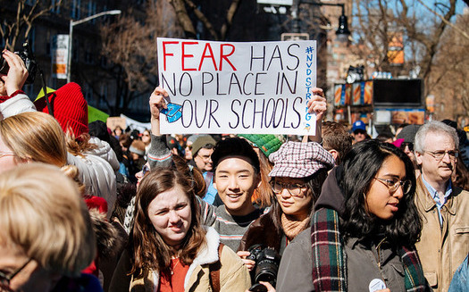 Supporters of gun reform rallied at March for Our Lives events around the country in March. This summer's Road to Change tour aims to keep up momentum around the issue. (Mathais Wasik/Flickr)