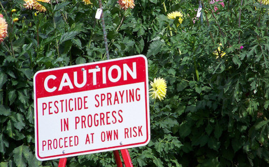 Washington joins six other states asking a federal court to overturn the EPA's decision not to ban the pesticide chlorpyrifos. (jetsandzeppelins/Flickr)