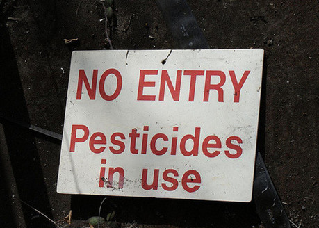 Pesticide drift can reach unsafe levels even at 300 feet from a fields edge, according to Earthjustice. (Andy Powell/Flickr) 