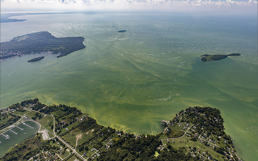 The Western Basin of Lake Erie is a hot spot for annual algae blooms. (NOAA)