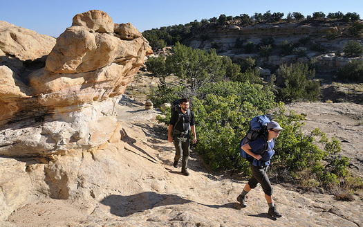 New Mexico has approximately 963 trails, including 513 hiking trails and 213 for mountain biking. (blm.gov)