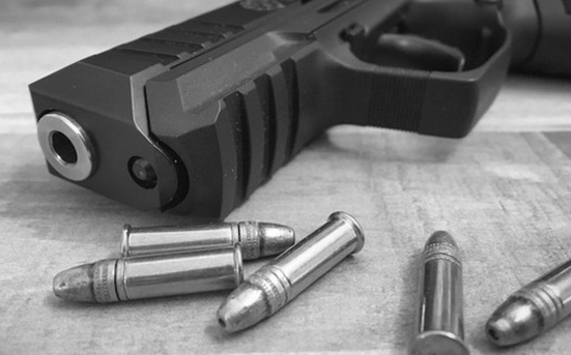 Illinois is now one of 13 states with a red flag law on the books, which allows firearms to be temporarily confiscated when a judge determines people are dangerous to themselves or others. (Carrie Martinez/Twenty20) 