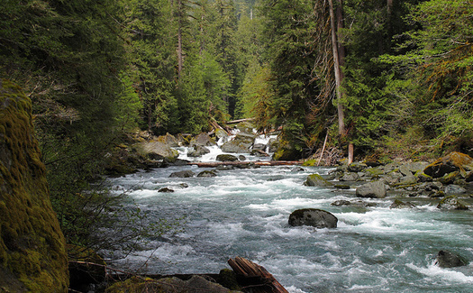 The Land and Water Conservation Fund has helped protect part of the world-renowned Olympic National Park. (Sean O'Neill/Flickr)