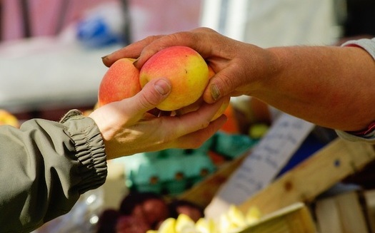 A recent Johns Hopkins survey found that nearly two-thirds of Americans oppose cuts to SNAP, the program formerly known as food stamps. (Pxhere)