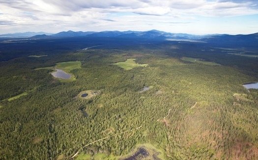 Clagstone Meadows in northern Idaho, owned by Stimson Lumber, was protected from development by the LWCF. (Kestrel Aerial Services/Idaho Dept. of Fish and Game)