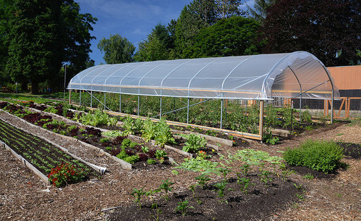 Local food advocates hope to lengthen Nebraska's growing season by installing more high tunnels. (USDA)