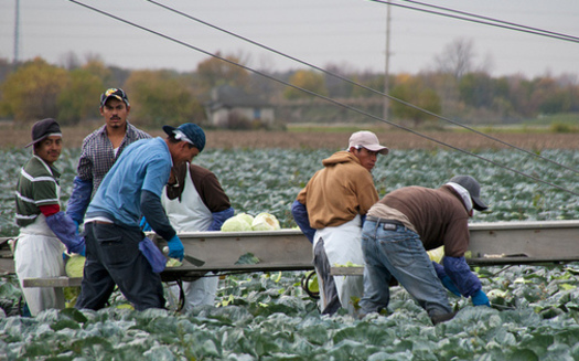 H-2A workers must be paid twice a month and receive a job description in writing, but FLOC says the U.S. Department of Labor isn't always enforcing the requirements. (Bob Jagendorf/flickr)